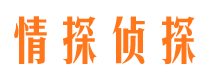 汉阴外遇调查取证